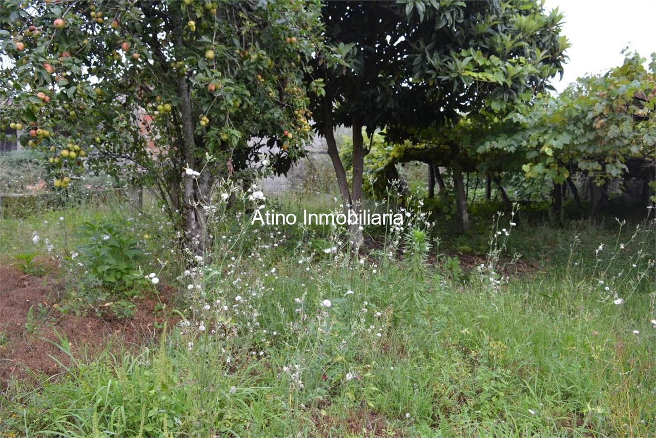 Foto 13 CASA PARA RESTAURAR EN PARCELA DE 1.469M²