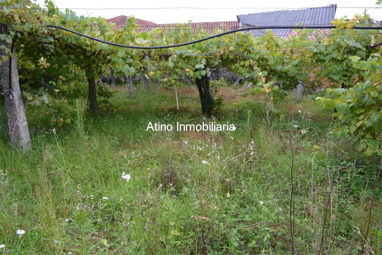 Foto 15 CASA PARA RESTAURAR EN PARCELA DE 1.469M²