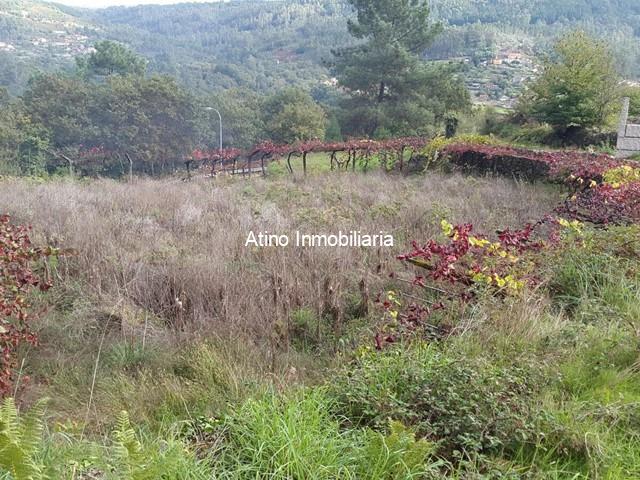 Terreno Edificable - Pazos de Borbén